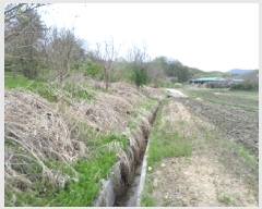  2025Ÿ��20565  �����