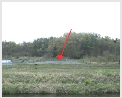  2025Ÿ��20565  �����