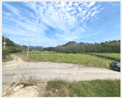  2025Ÿ��20573  ����