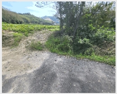  2025Ÿ��20573  ����