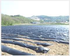  2025Ÿ��20573  ����