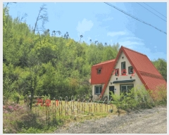  2025Ÿ��20583 ���� ���ֽ� �Ÿ��� Ȳ�и� 940-2      ���ð��