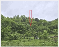  2025Ÿ��20611  �Ӿ߰��