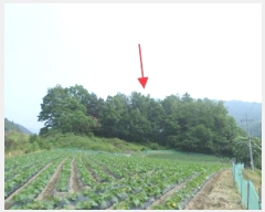  2025Ÿ��20611  �Ӿ߰��