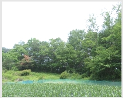  2025Ÿ��20611  �Ӿ߰��