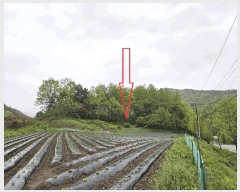  2025Ÿ��20611  �Ӿ߰��