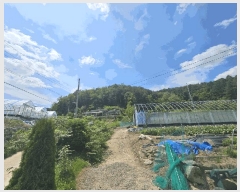  2025Ÿ��20621  �Ӿ߰��