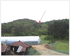  2025Ÿ��20621  �Ӿ߰��