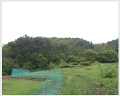  2025Ÿ��20621  �Ӿ߰��