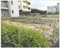  2025Ÿ��20632  �������