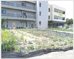  2025Ÿ��20632  �������