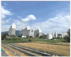  2025Ÿ��20635  �����