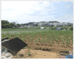  2025Ÿ��20635  �����