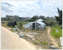  2025Ÿ��20635  �����