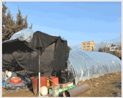  2025Ÿ��20635  �����