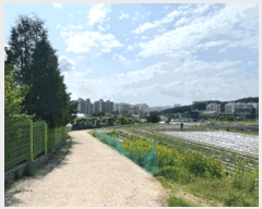  2025Ÿ��20635  �����