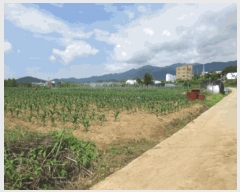  2025Ÿ��20635  �����