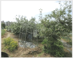  2025Ÿ��20635  �����