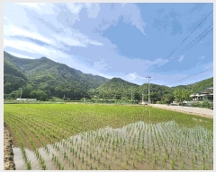  2025Ÿ��20653  �Ӿ߰��