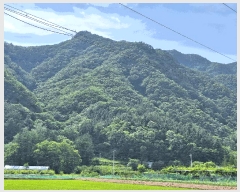  2025Ÿ��20653  �Ӿ߰��