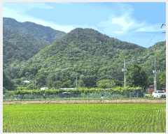  2025Ÿ��20653  �Ӿ߰��