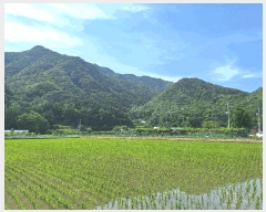  2025Ÿ��20653  �Ӿ߰��