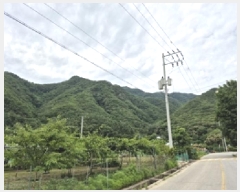  2025Ÿ��20653  �Ӿ߰��