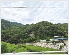  2025Ÿ��20653  �Ӿ߰��