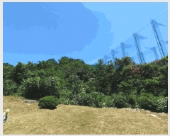  2025Ÿ��20660  ����