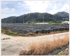  2025Ÿ��20660  ����