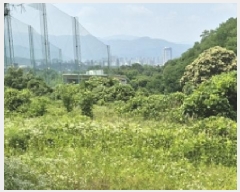  2025Ÿ��20660  ����