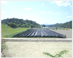  2025Ÿ��20660  ����