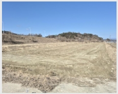  2025Ÿ��20660  ����