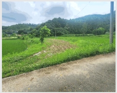  2025Ÿ��20663  ����