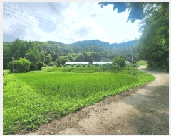  2025Ÿ��20663  ����