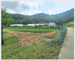  2025Ÿ��20663  ����