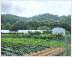  2025Ÿ��20663  ����