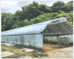  2025Ÿ��20663  ����