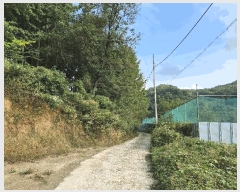  2025Ÿ��20918 ���� ���ֽ� ���嵿 72-1       ����(�Ӿ�)���