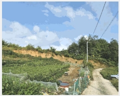  2025Ÿ��20918 ���� ���ֽ� ���嵿 72-1       ����(�Ӿ�)���