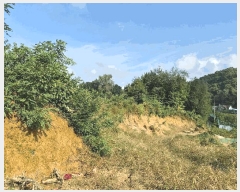  2025Ÿ��20918 ���� ���ֽ� ���嵿 72-1       ����(�Ӿ�)���