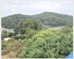  2025Ÿ��20918 ���� ���ֽ� ���嵿 72-1       ����(�Ӿ�)���