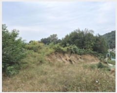  2025Ÿ��20918 ���� ���ֽ� ���嵿 72-1       ����(�Ӿ�)���