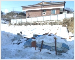  2025Ÿ��22 ���� ���ֽ� ���ʸ� ��縮 1295-11      ����(��1)���