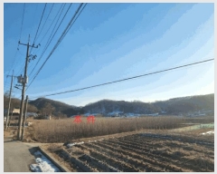  2025Ÿ��169 ���� ���ֽ� ������ ������ 1232      ����(��)���