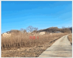  2025Ÿ��169 ���� ���ֽ� ������ ������ 1232      ����(��)���