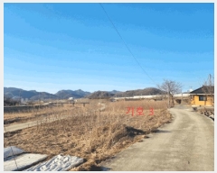  2025Ÿ��169 ���� ���ֽ� ������ ������ 1232      ����(��)���