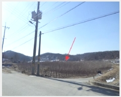  2025Ÿ��169 ���� ���ֽ� ������ ������ 1232      ����(��)���