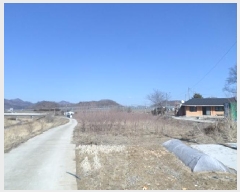  2025Ÿ��169 ���� ���ֽ� ������ ������ 1232      ����(��)���