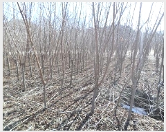  2025Ÿ��169 ���� ���ֽ� ������ ������ 1232      ����(��)���